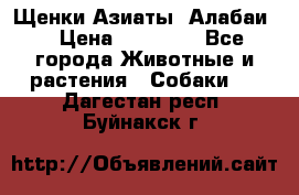 Щенки Азиаты (Алабаи) › Цена ­ 20 000 - Все города Животные и растения » Собаки   . Дагестан респ.,Буйнакск г.